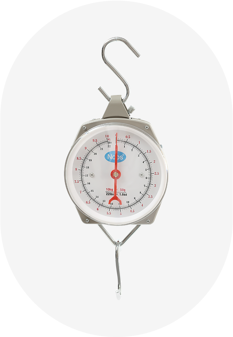 Mechanical hanging scale